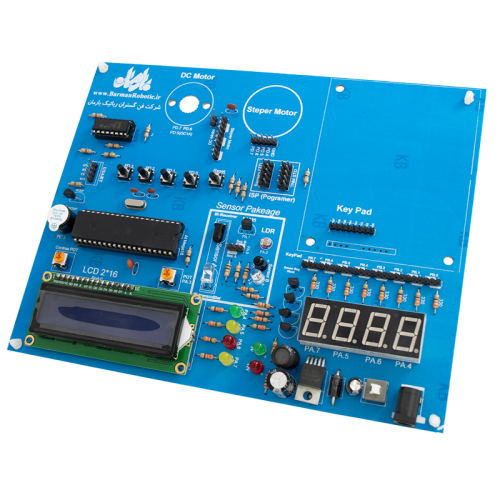 Robot-processor-board